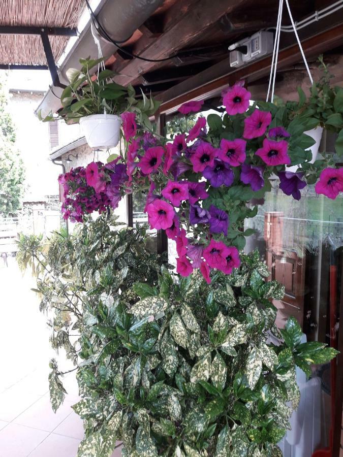 דירות גאיולה אין קיאנטי "La Casa Di Maria Luce" Con Terrazza Panoramica מראה חיצוני תמונה